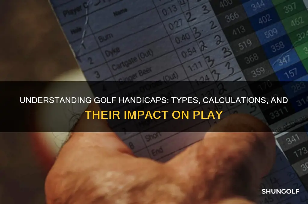 what are the different handicaps in golf
