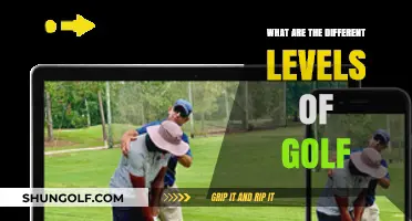 Exploring Golf's Skill Levels: From Beginner to Professional Ranks