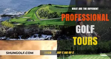 Exploring the World of Professional Golf: Major Tours Unveiled
