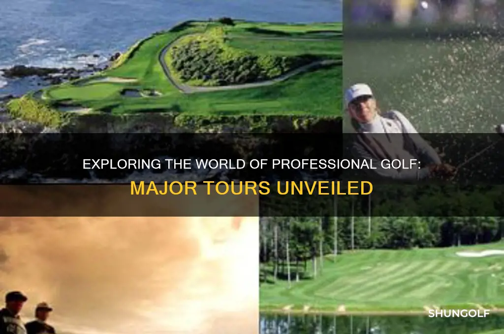 what are the different professional golf tours