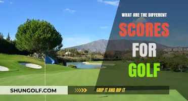 Understanding Golf Scores: A Comprehensive Guide to Every Score in Golf