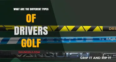 Exploring the Various Types of Golf Drivers for Every Player