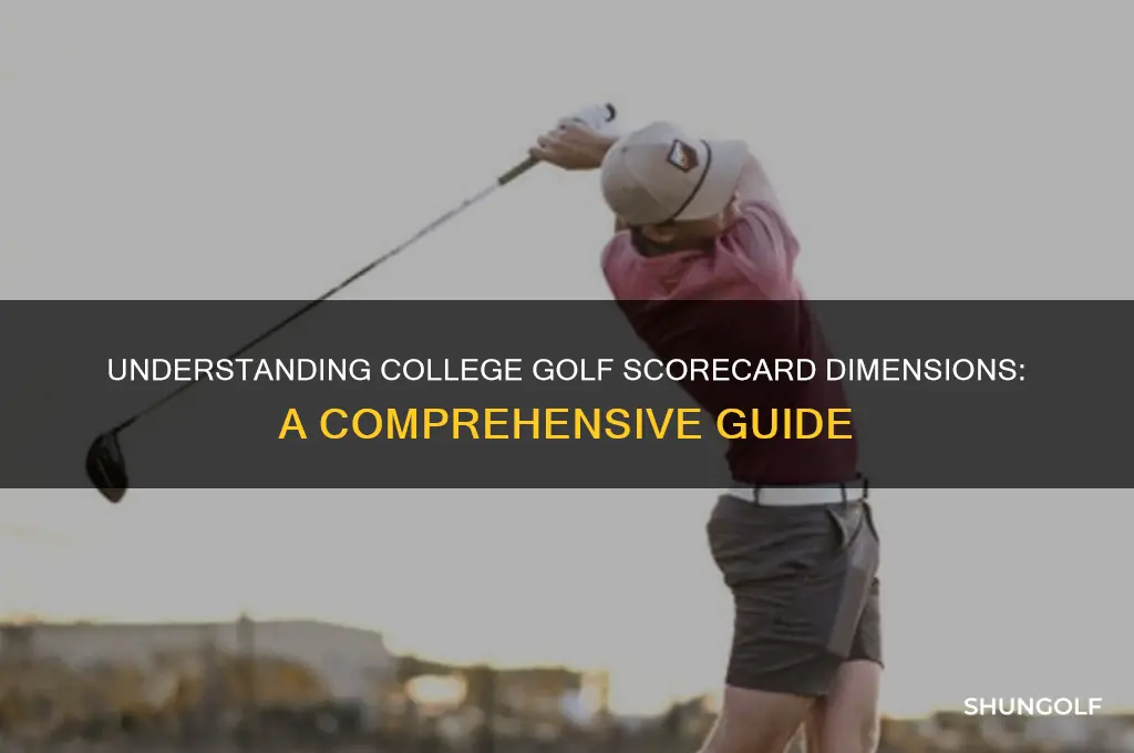 what are the dimensions of a college golf scorecard