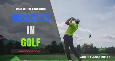 Mastering Golf's Downswing Muscles: Key Groups for Power and Precision