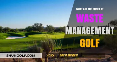 Unveiling the Mystery: Ducks at Waste Management Golf Explained