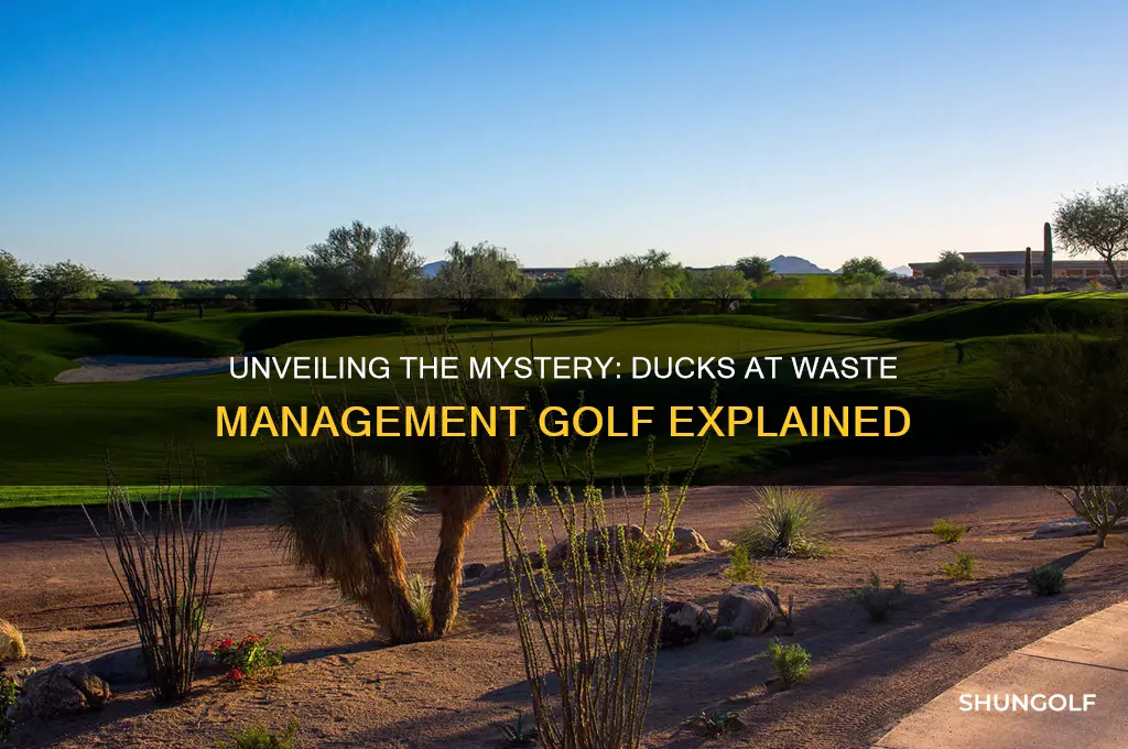 what are the ducks at waste management golf