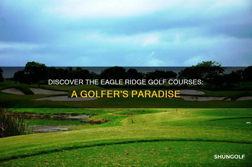 what are the eagle ridge golf courses