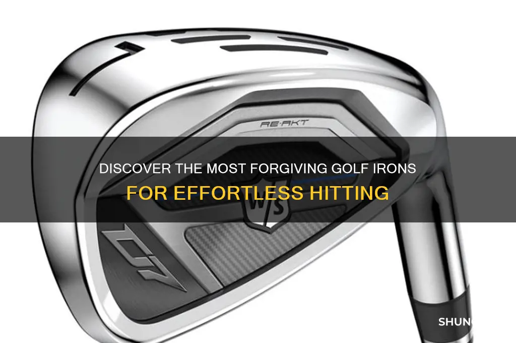 what are the easiest golf irons to hit