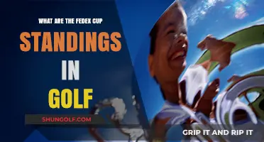 Current FedEx Cup Standings: Golf's Top Players Ranked