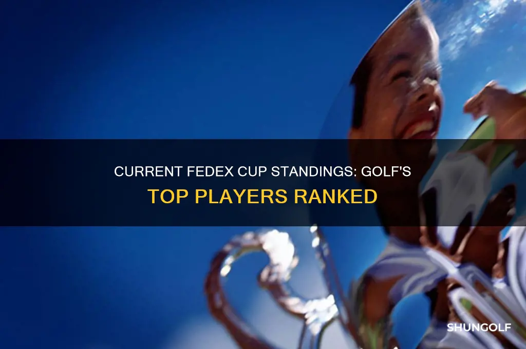 what are the fedex cup standings in golf