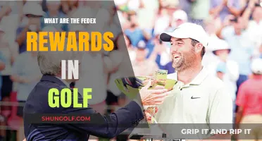 Understanding FedEx Rewards: Golf's Lucrative Playoff Incentives Explained