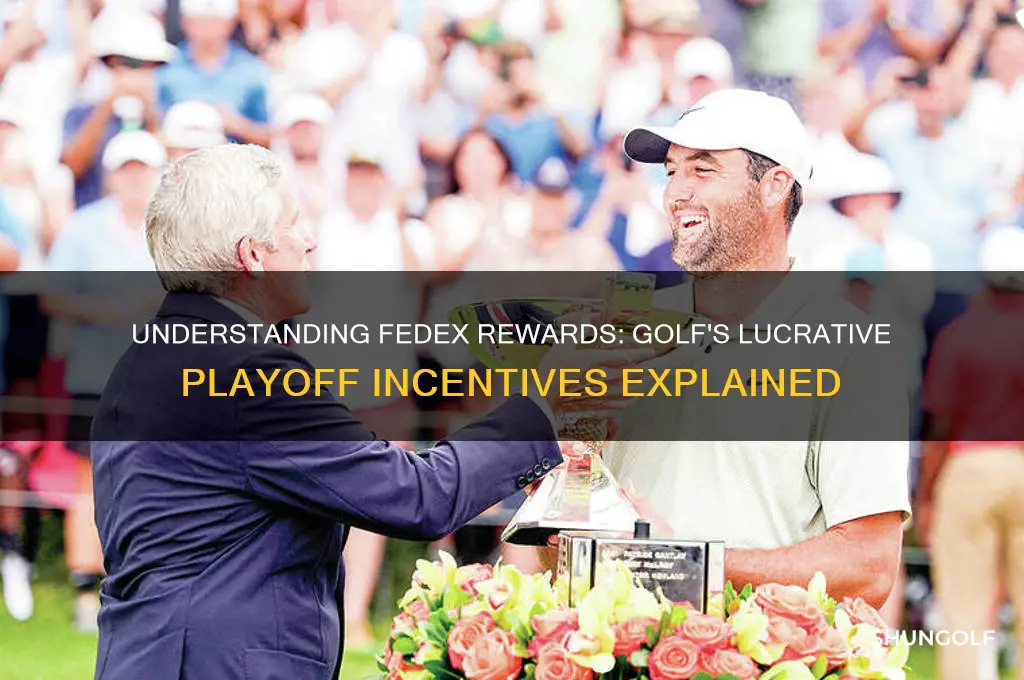 what are the fedex rewards in golf