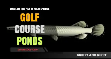 Discovering the Fish Species in Palm Springs Golf Course Ponds