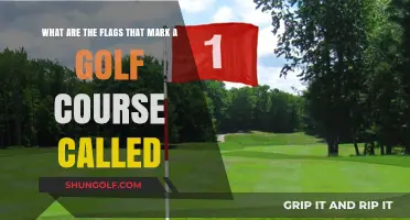 Understanding Golf Course Flags: Their Meanings and Purposes Explained
