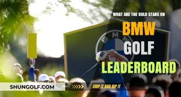 BMW Golf Leaderboard Gold Stars: Meaning and Significance Explained
