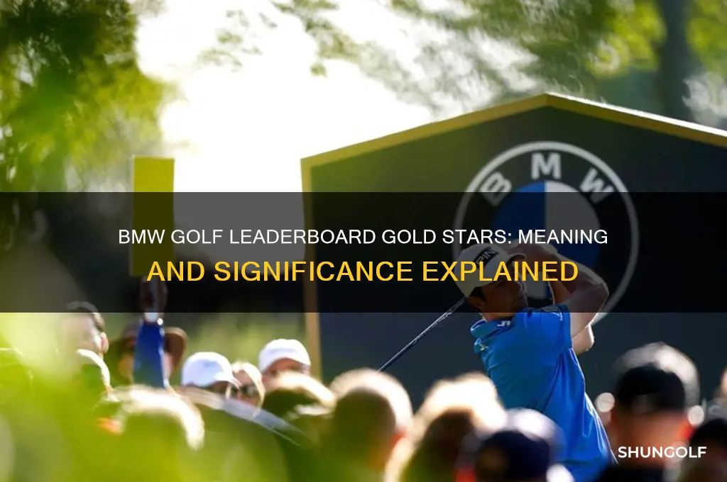 what are the gold stars on bmw golf leaderboard