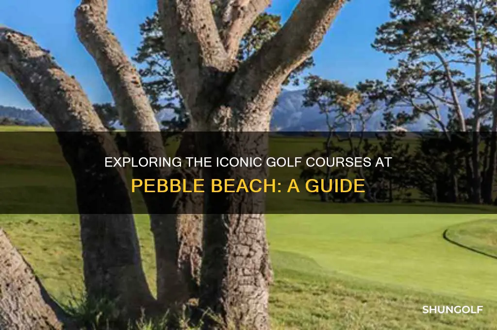 what are the golf courses at pebble beach