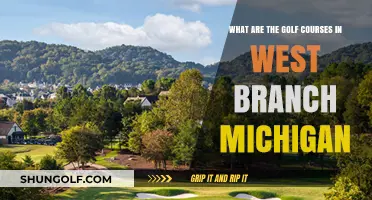 Discover West Branch, Michigan's Top Golf Courses for Enthusiasts