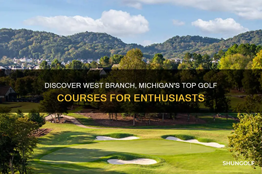 what are the golf courses in west branch michigan