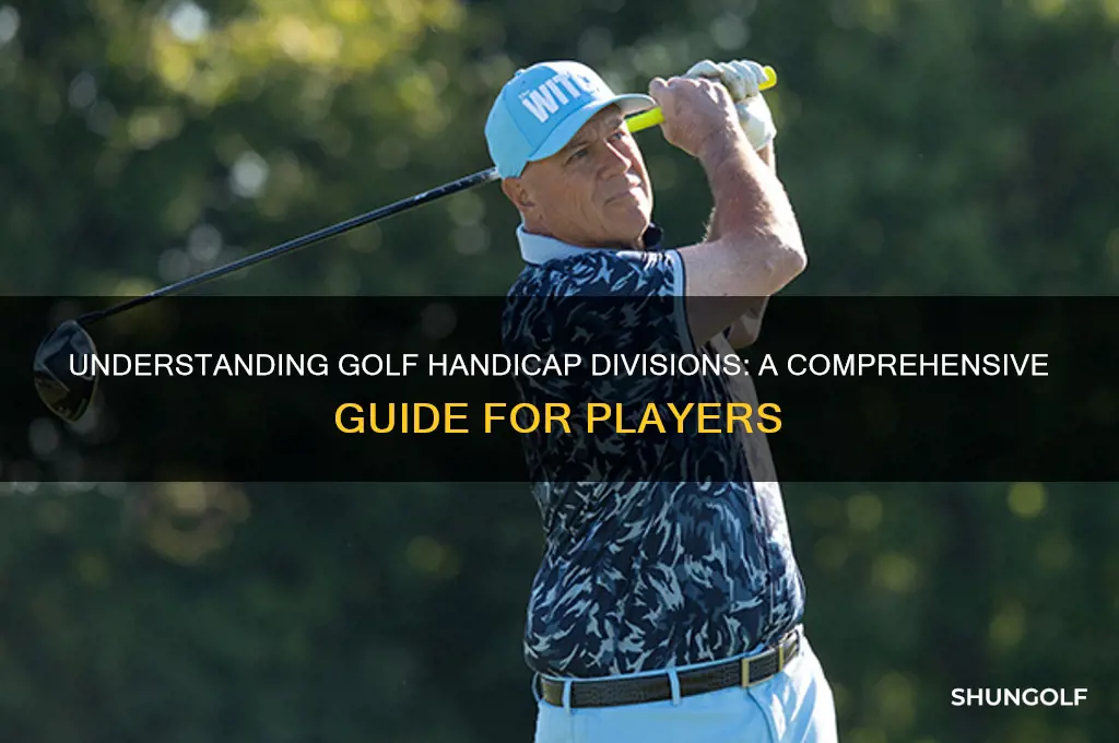 what are the golf handicap divisions