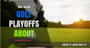 Golf Playoffs: Understanding the Race to the Cup