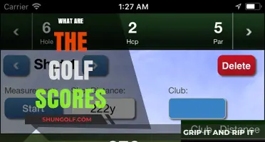 Golf Scores: Understanding the Basics