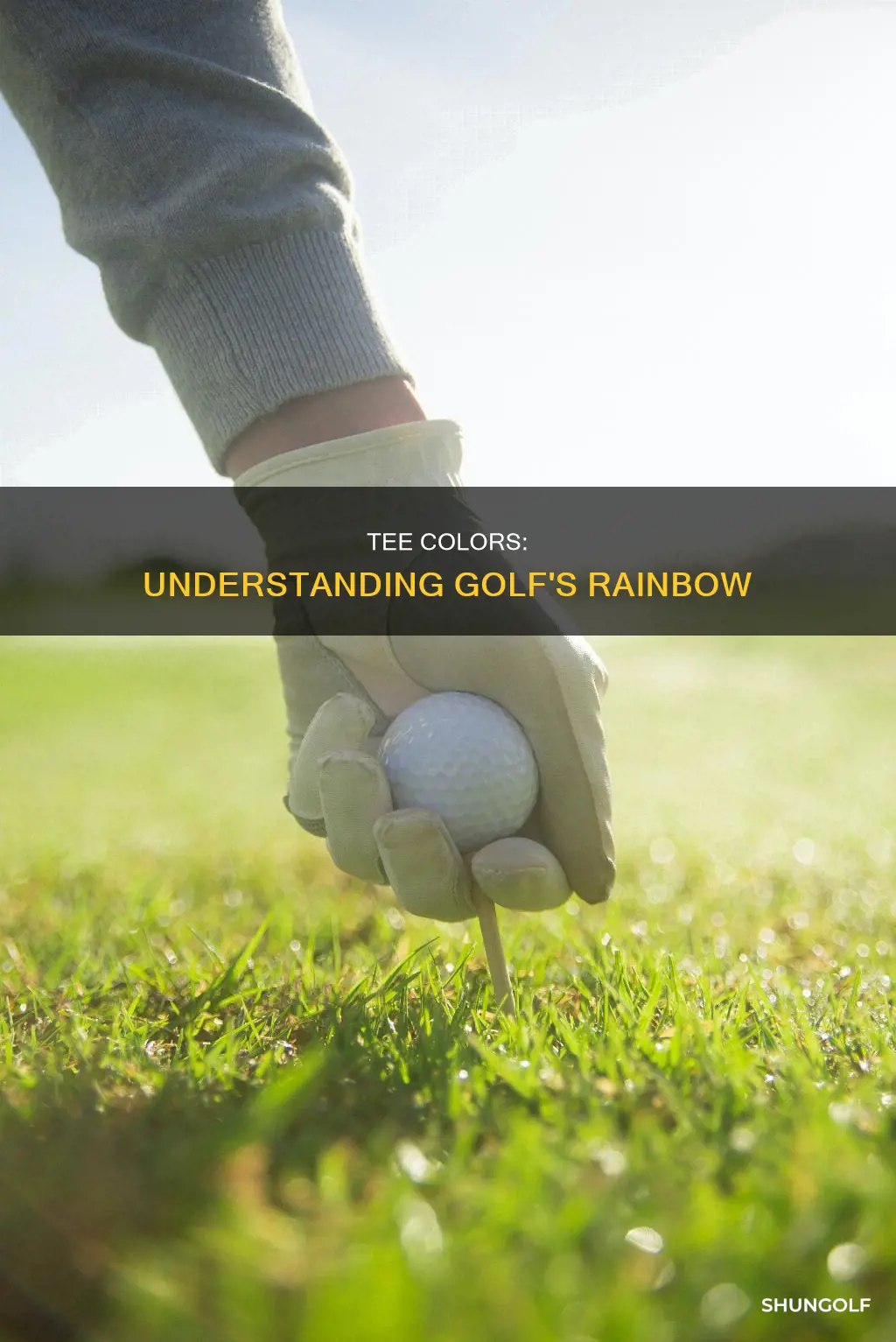 what are the golf tee colors
