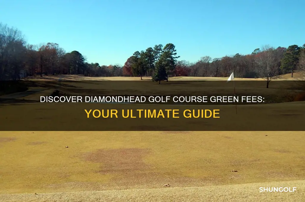 what are the green fees at diamondhead golf course