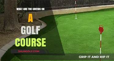 Understanding the Greens: A Golf Course's Most Crucial Feature Explained