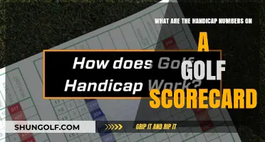 Understanding Handicap Numbers on Your Golf Scorecard: A Beginner's Guide