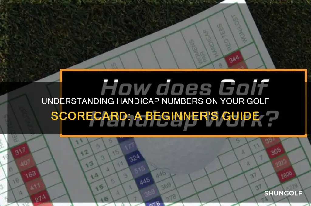 what are the handicap numbers on a golf scorecard