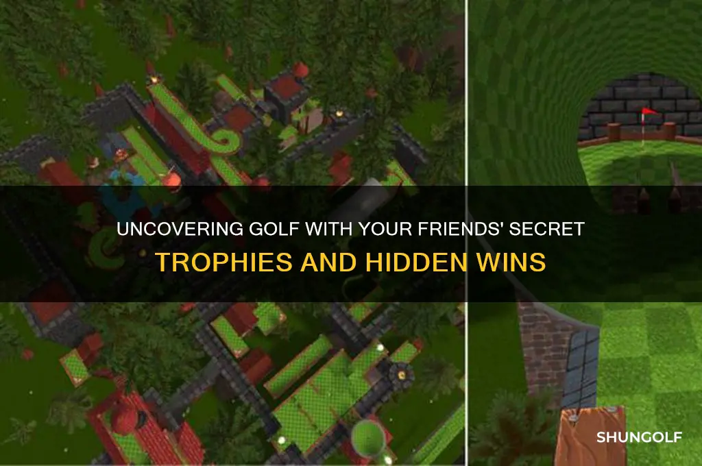what are the hidden achievements in golf with your friends