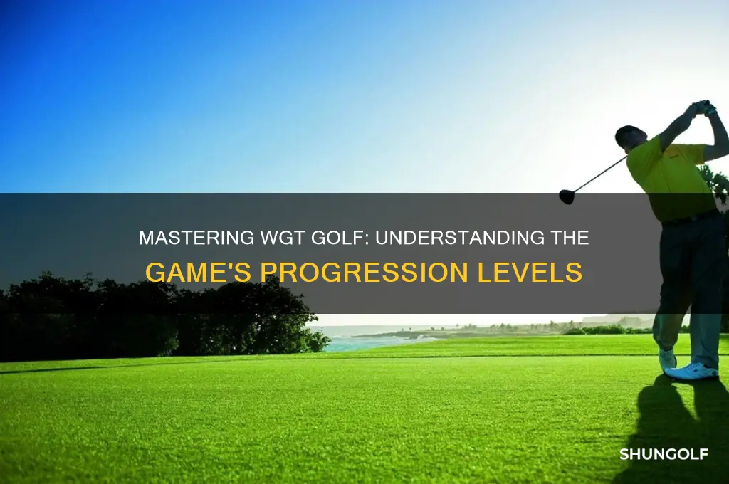 what are the levels in wgt golf