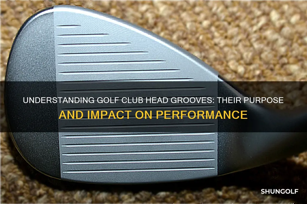 what are the lines on the golf club head called