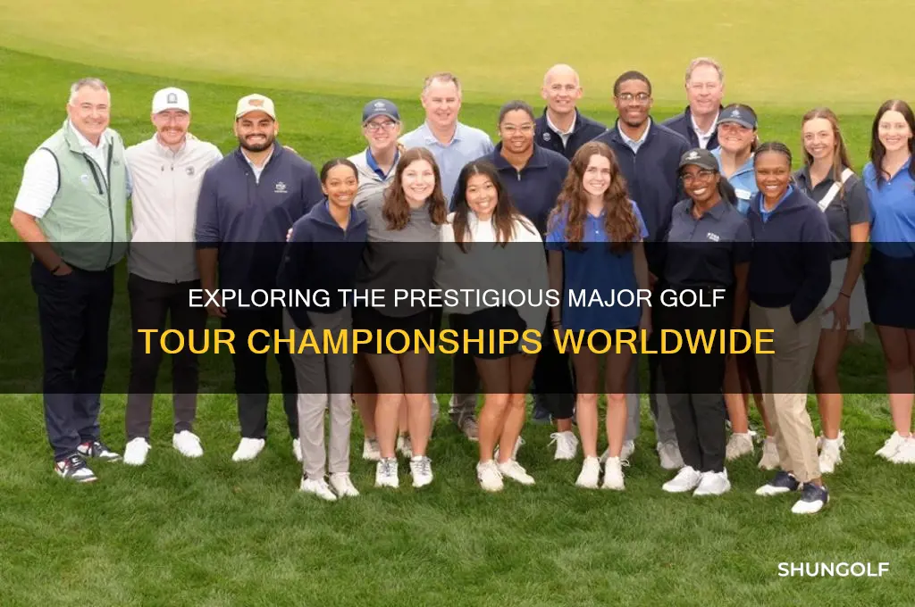 what are the major golf tour championships