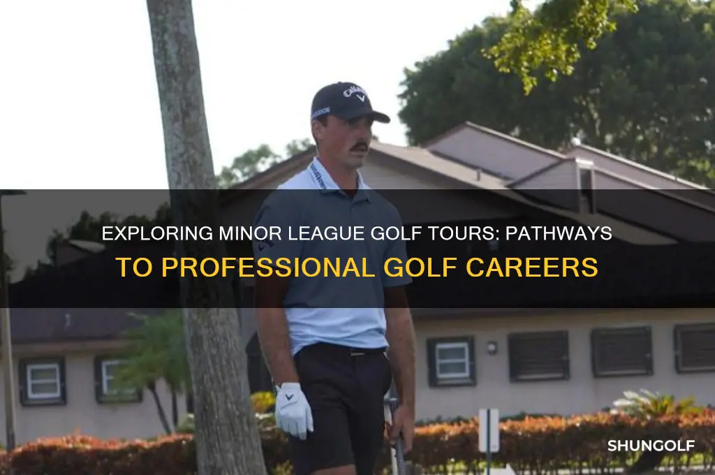what are the minor league golf tours
