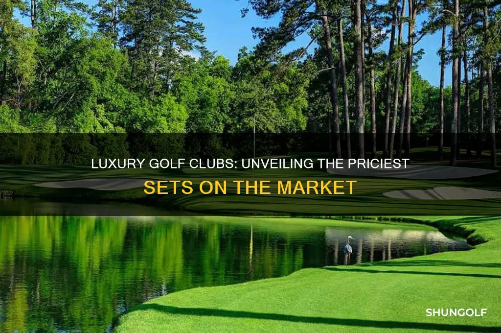 what are the most expensive golf clubs