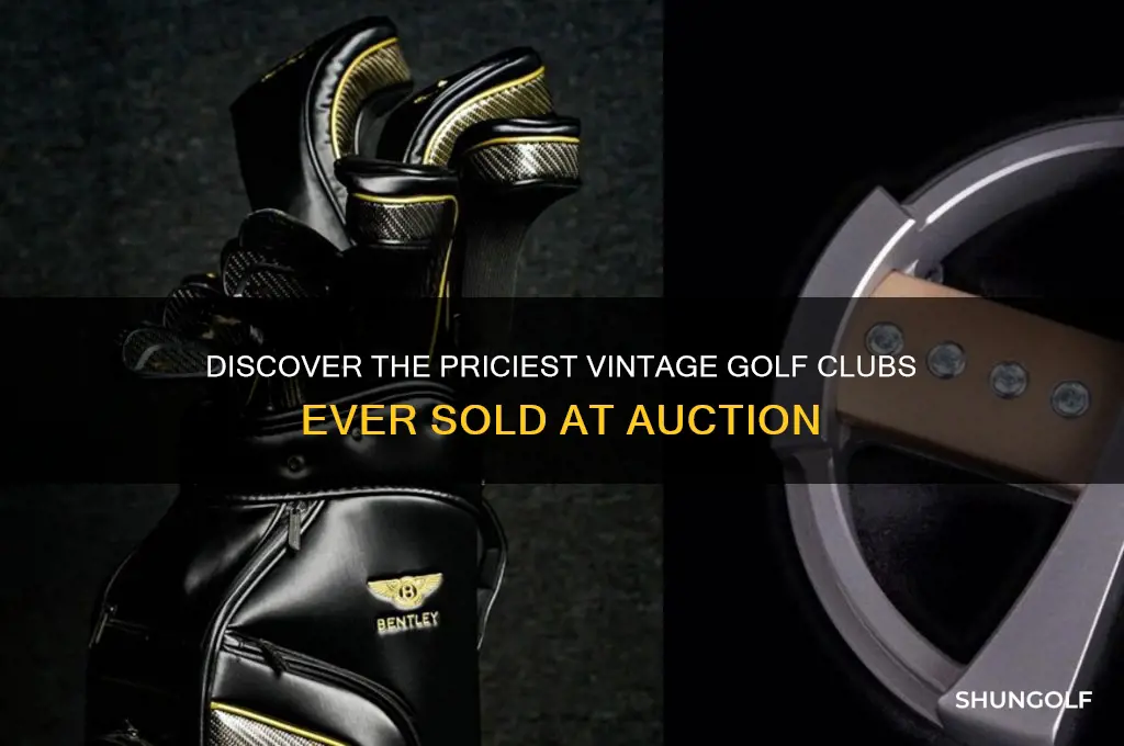 what are the most expensive vintage golf clubs