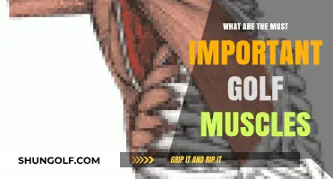 Strengthen Your Swing: Key Golf Muscles for Power and Precision