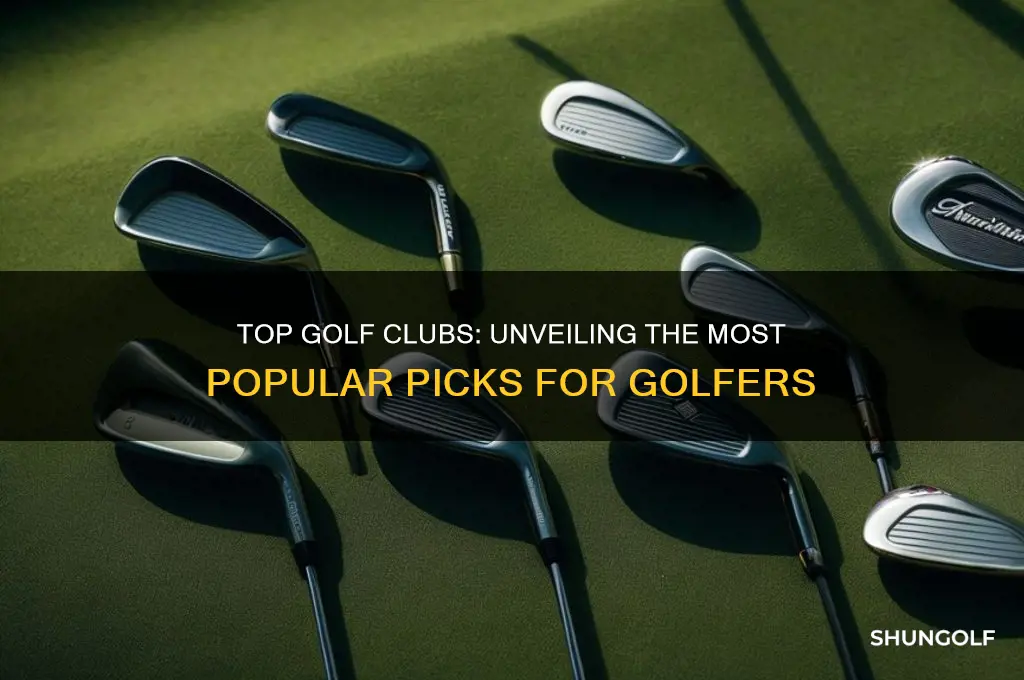 what are the most popular golf clubs