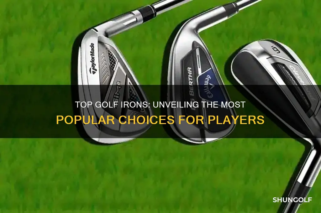 what are the most popular golf irons