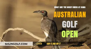 Noisy Feathered Spectators: Identifying Birds at Hana Australian Golf Open