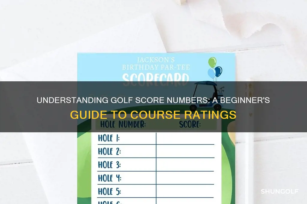 what are the numbers next to the score in golf