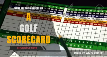 Understanding Golf Scorecard Numbers: A Beginner's Guide to Scoring Basics