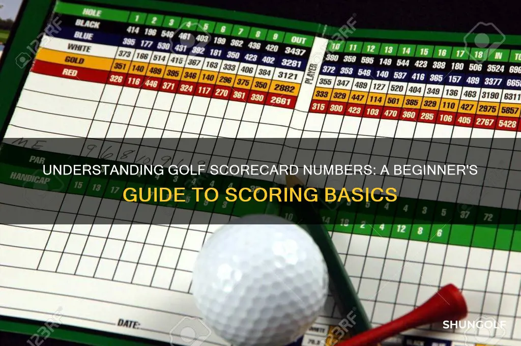 what are the numbers on a golf scorecard