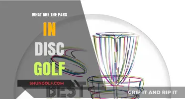 Exploring the Essential Components of Disc Golf: A Beginner's Guide