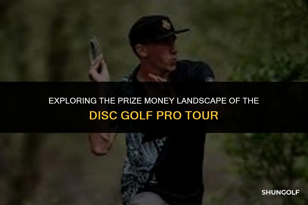 what are the payouts for the disc golf pro tour