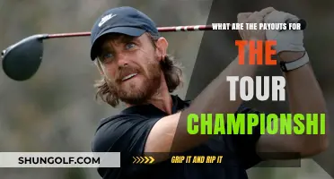 Tour Championship Payouts: Prize Money Breakdown for Golf's Finale