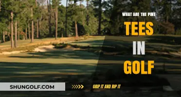 Understanding Pine Tees: Benefits and Usage in Golf Explained