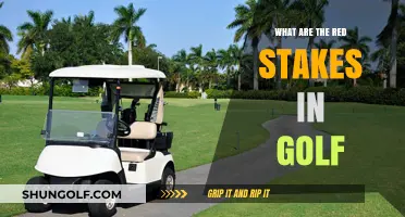 Understanding Golf's Red Stakes: Rules, Penalties, and Course Strategy
